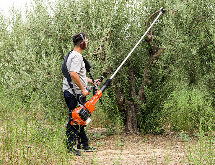 olive shaker echo tools block text image